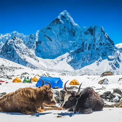 Kedarnath & Badrinath