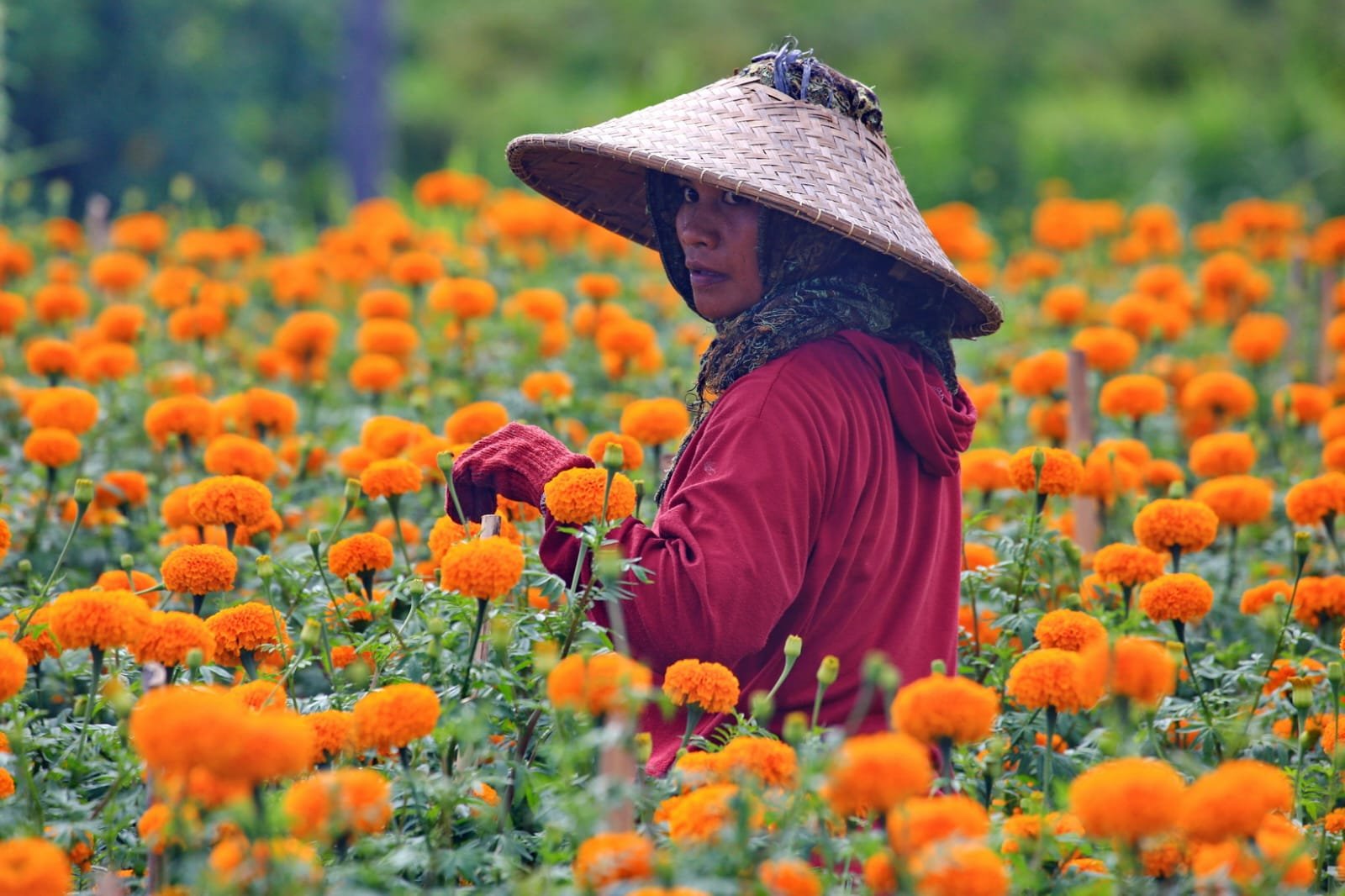 Приключения на Бали