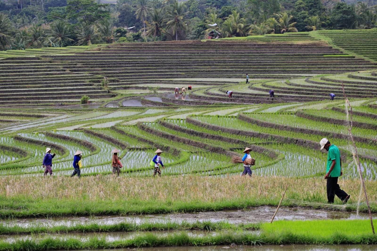 Курорты Бали
